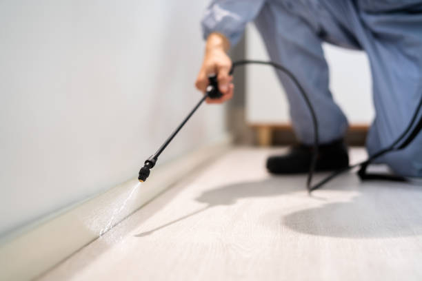Bed Bug Pre-Treatment Preparation Assessment in Crystal Lake