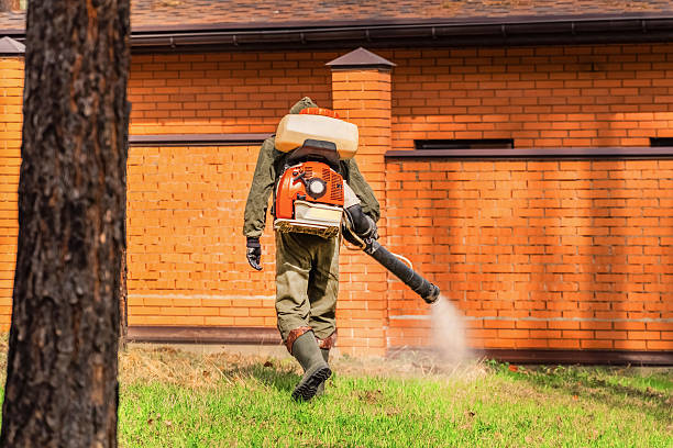 Bed Bug Clearance Verification and Documentation in Crystal Lake